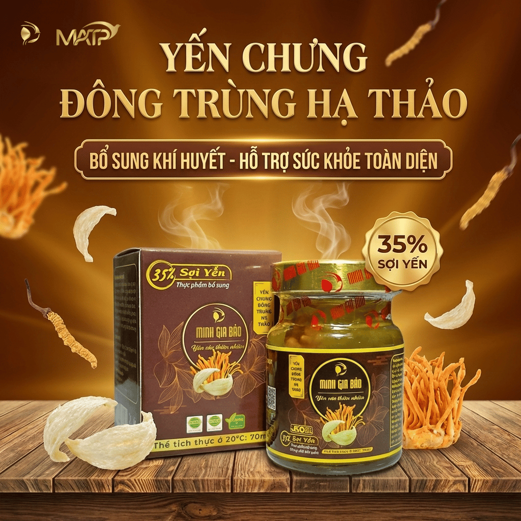 Yến đông trùng Hạ Thảo 35%