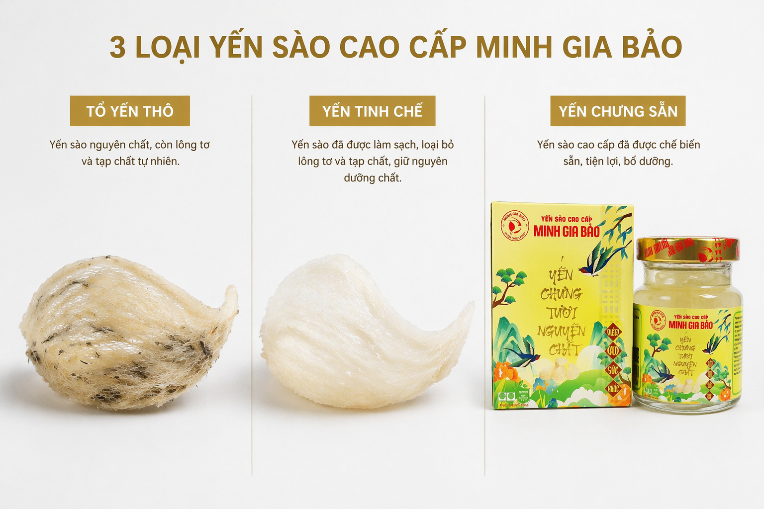 Hình ảnh phân biệt các loại yến sào phổ biến trên thị trường gồm yến thô, yến tinh chế và yến chưng hũ