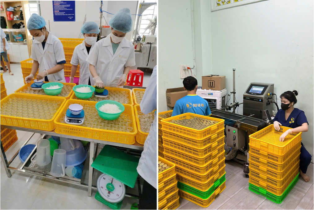 Nhà xưởng sản xuất yến chưng sẵn đạt chuẩn HACCP Minh Gia Bảo Quy trình chưng yến công nghiệp khép kín đạt chuẩn HACCP tại Minh Gia Bảo Nghệ An